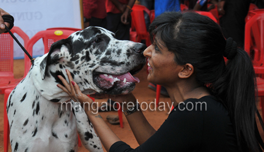 Dog show in Mangalore